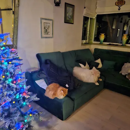 فيلة Oasis Narie