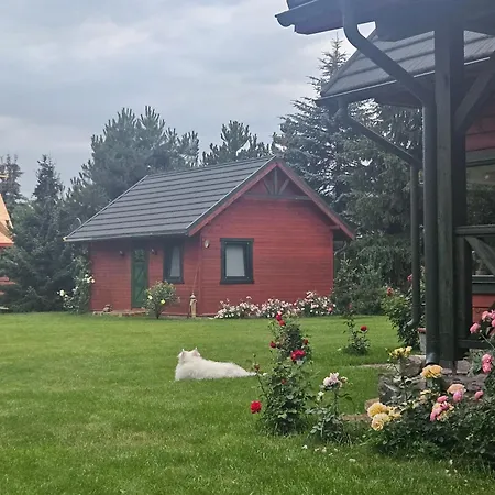 Oasis Narie فيلة Pojezierce