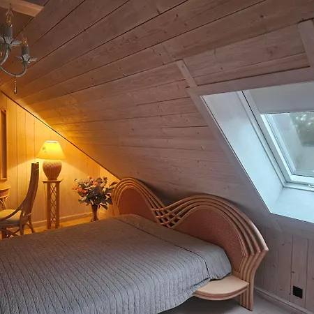 فيلة Oasis Narie *